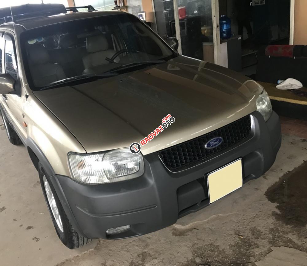 Bán em Ford Escape XLT 2003 màu vàng cát-4