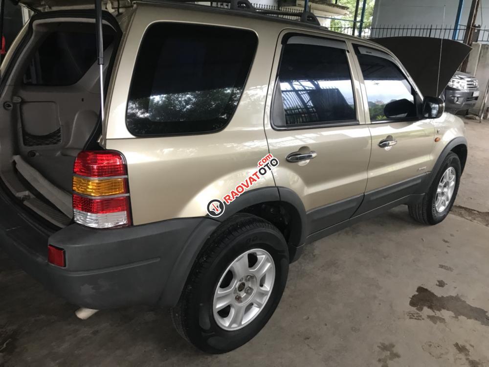 Bán em Ford Escape XLT 2003 màu vàng cát-5