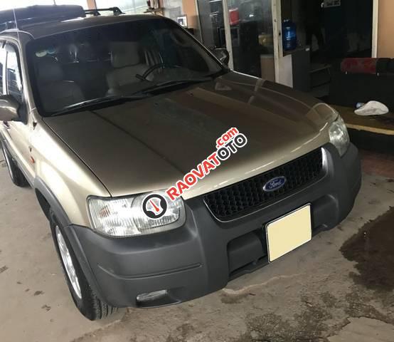 Bán ô tô Ford Escape XLT năm sản xuất 2003, màu vàng cát-4