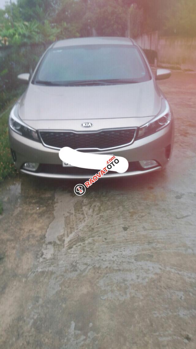 Cần bán lại xe Kia Cerato sản xuất 2016 màu vàng, 490 triệu-0