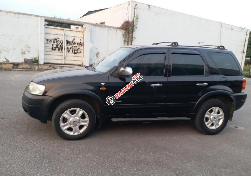 Bán Ford Escape XLT sản xuất 2004, màu đen -7