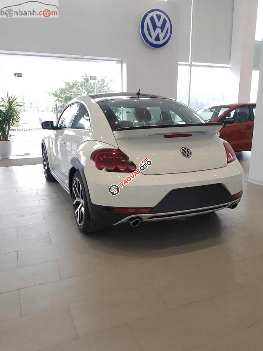 Bán Volkswagen New Beetle năm sản xuất 2018, màu trắng, xe nhập-0
