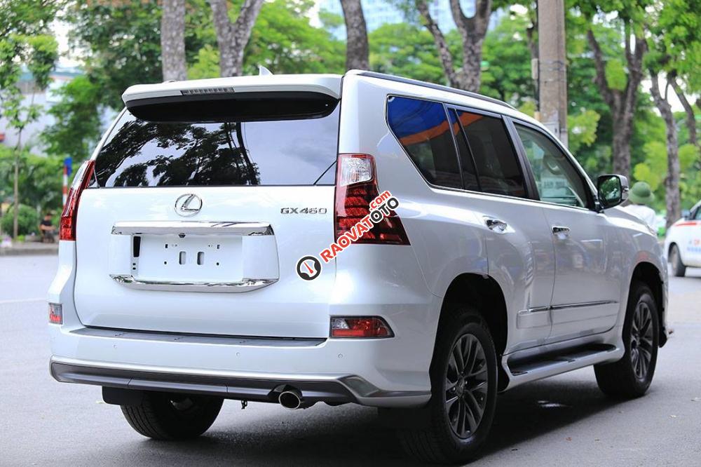 Bán Lexus GX GX460 đời 2018, màu trắng, nhập khẩu nguyên chiếc-20