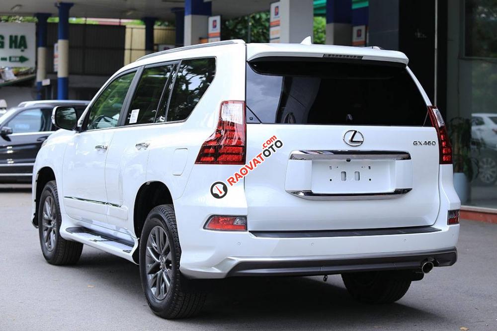 Bán Lexus GX GX460 đời 2018, màu trắng, nhập khẩu nguyên chiếc-18