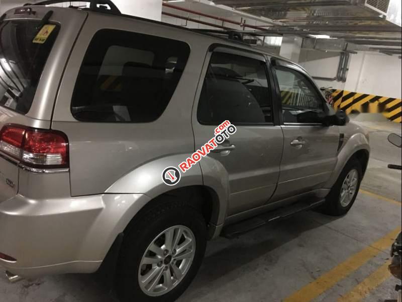 Chính chủ bán lại xe Ford Escape XLS đời 2010, màu vàng cát-3