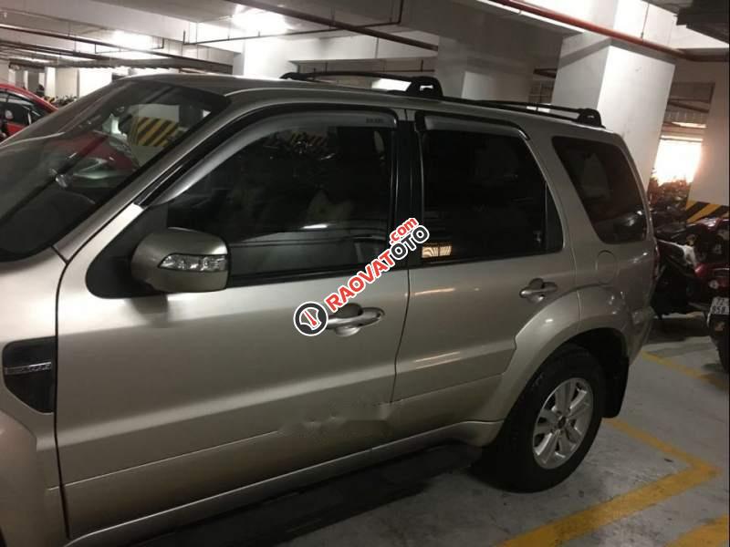 Chính chủ bán lại xe Ford Escape XLS đời 2010, màu vàng cát-1