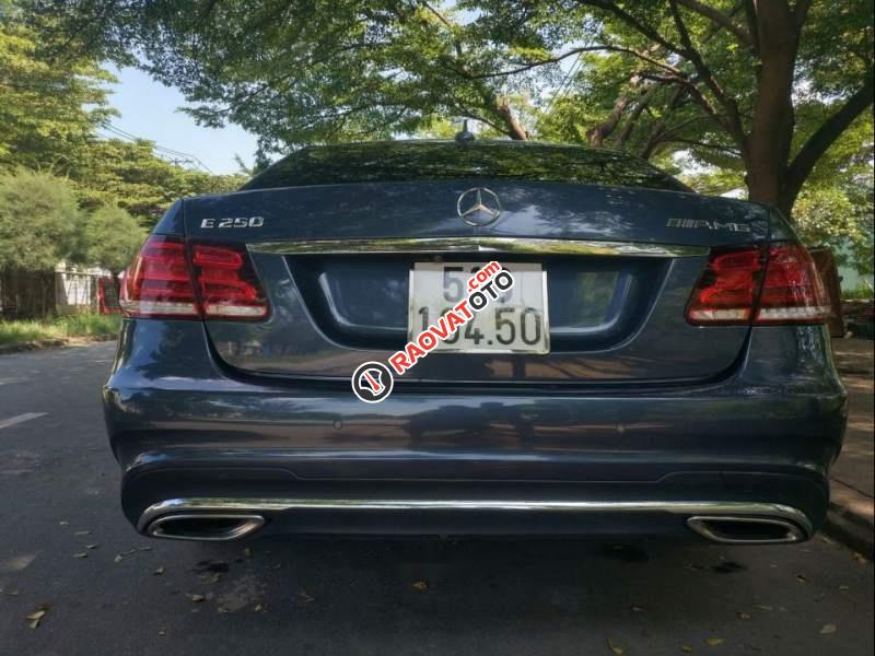 Cần bán xe Mercedes E250 AMG đời 2016, màu xanh  -1