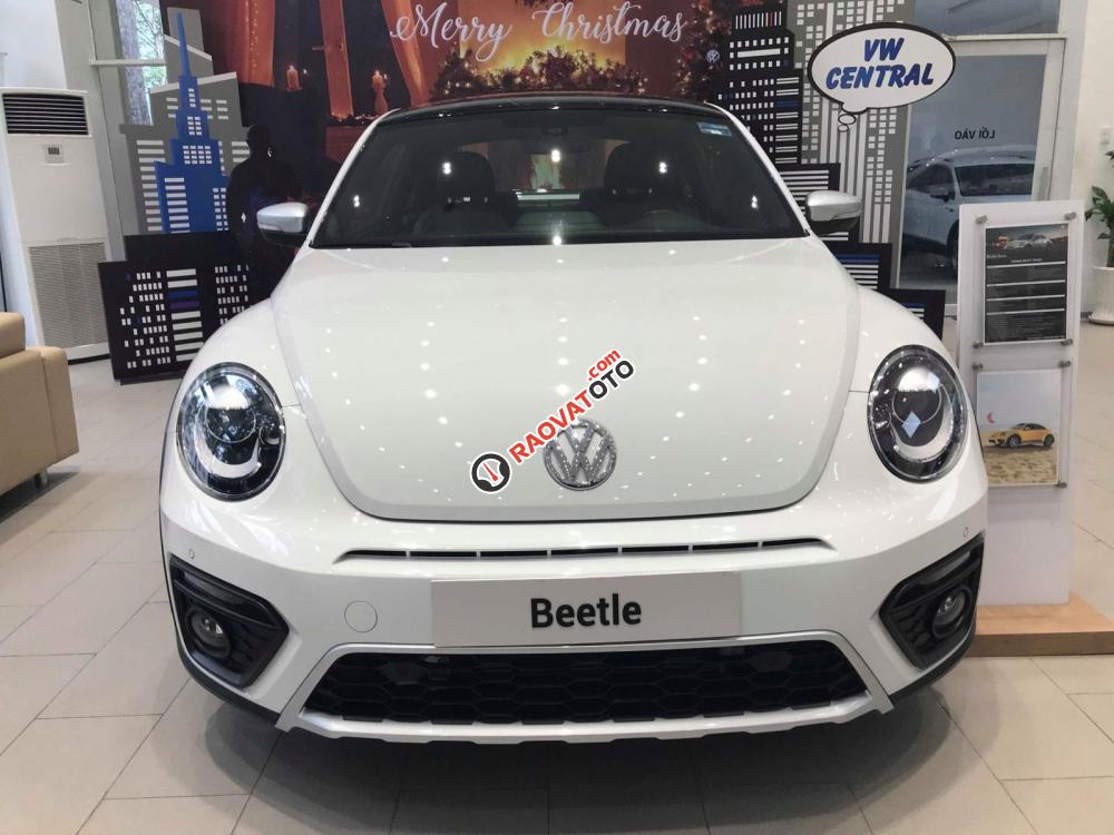 Volkswagen Beetle Dune nhập khẩu, hỗ trợ vay 80%-8
