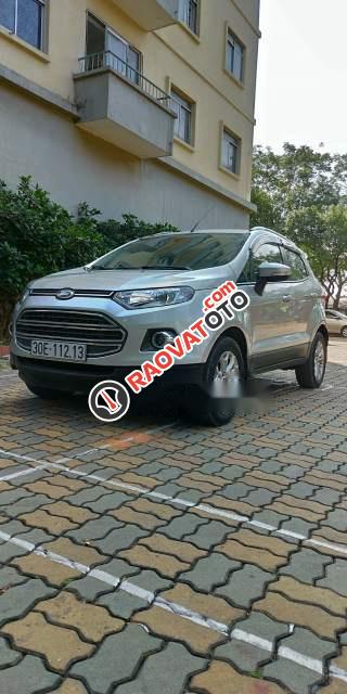 Cần bán xe Ford EcoSport AT đời 2015, màu bạc, xe gia đình sử dụng còn mới-3