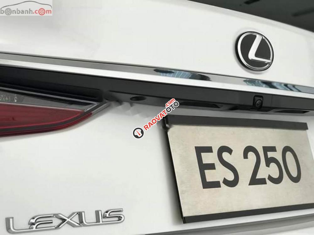 Bán xe Lexus ES 250 đời 2018, nhập khẩu, mới 100%-6