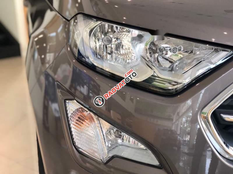 Bán Ford EcoSport 1.5 Titanium 2019, màu xám, nhập khẩu-4