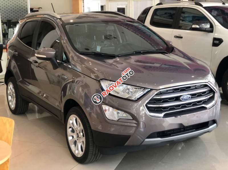 Bán Ford EcoSport 1.5 Titanium 2019, màu xám, nhập khẩu-3