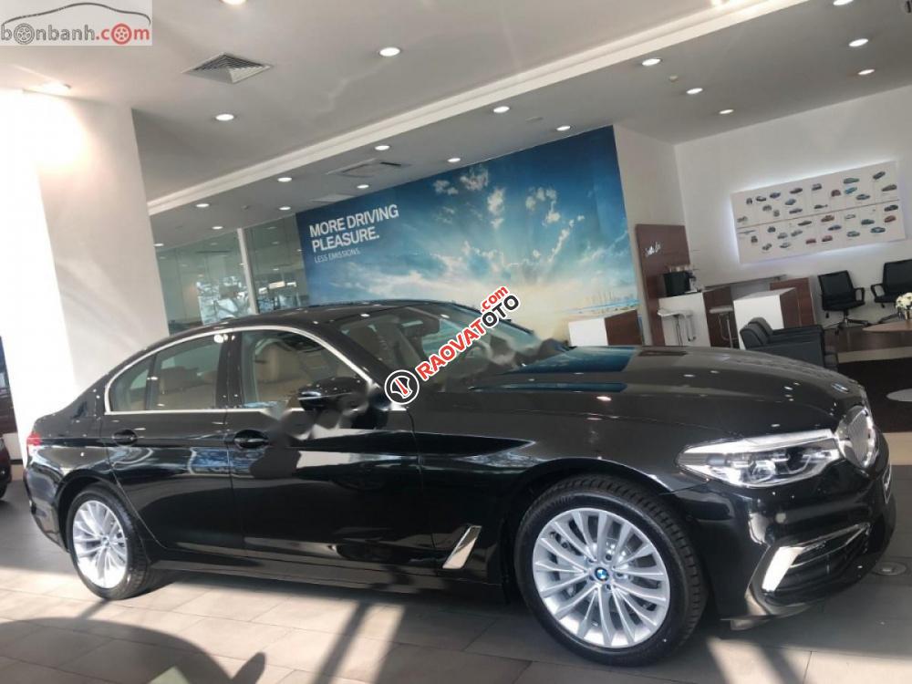 Bán ô tô BMW 5 Series 530i đời 2019, màu đen, nhập khẩu-9