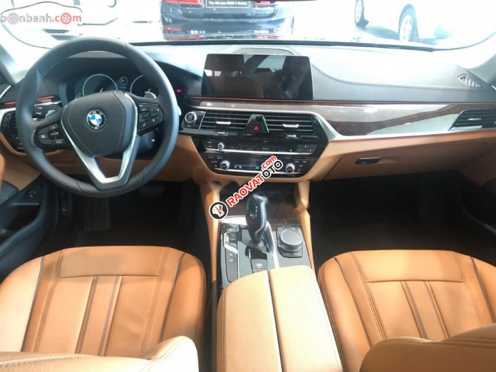 Bán BMW 5 Series 530i Luxury sản xuất 2019, màu vàng, xe nhập-3