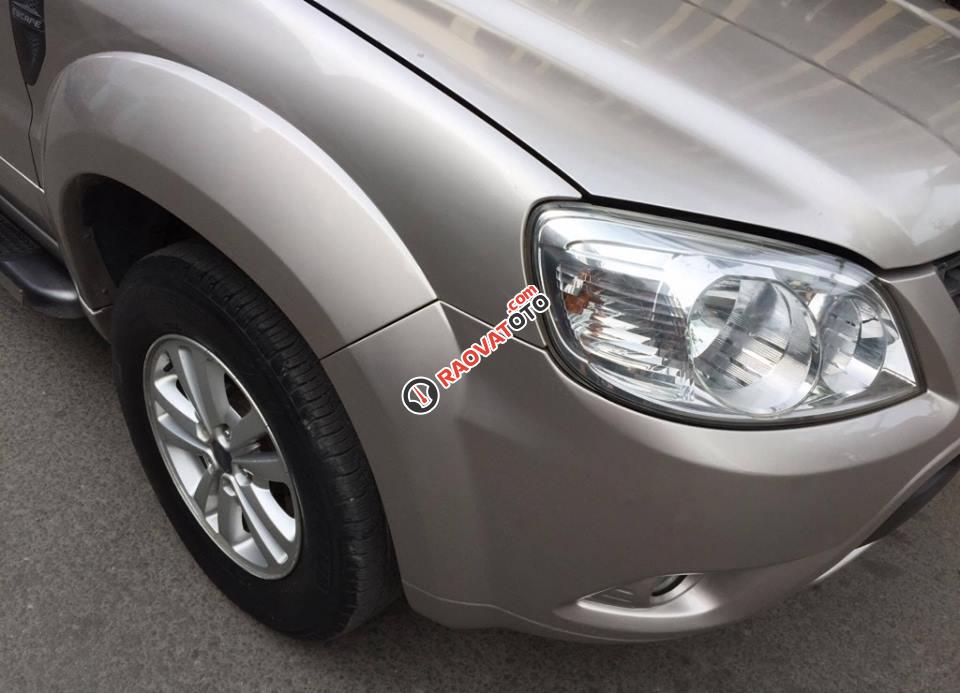 Gia đình cần bán Escape XLS 2010, số tự động, màu bạc-2