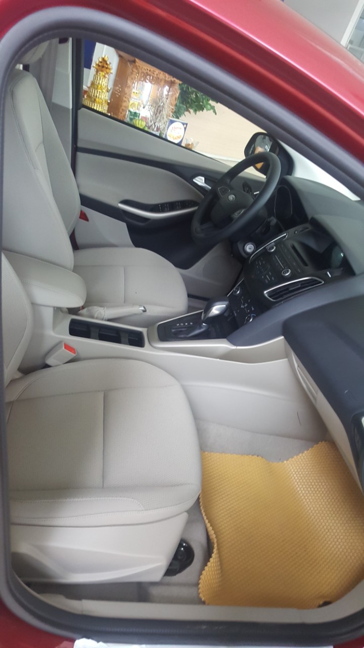 Bán Ford Focus đời 2019, màu đỏ-2
