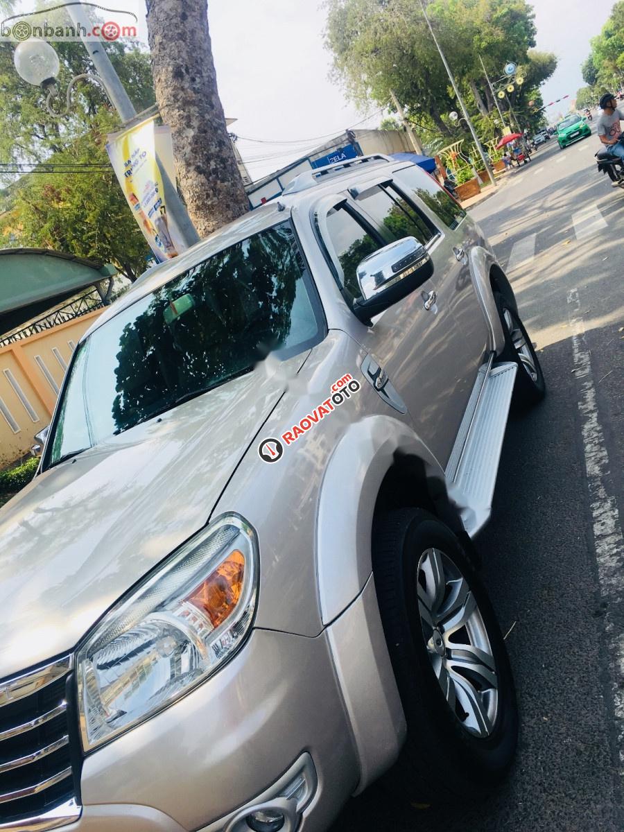 Bán Ford Everest MT năm 2012, màu hồng, 528 triệu-4