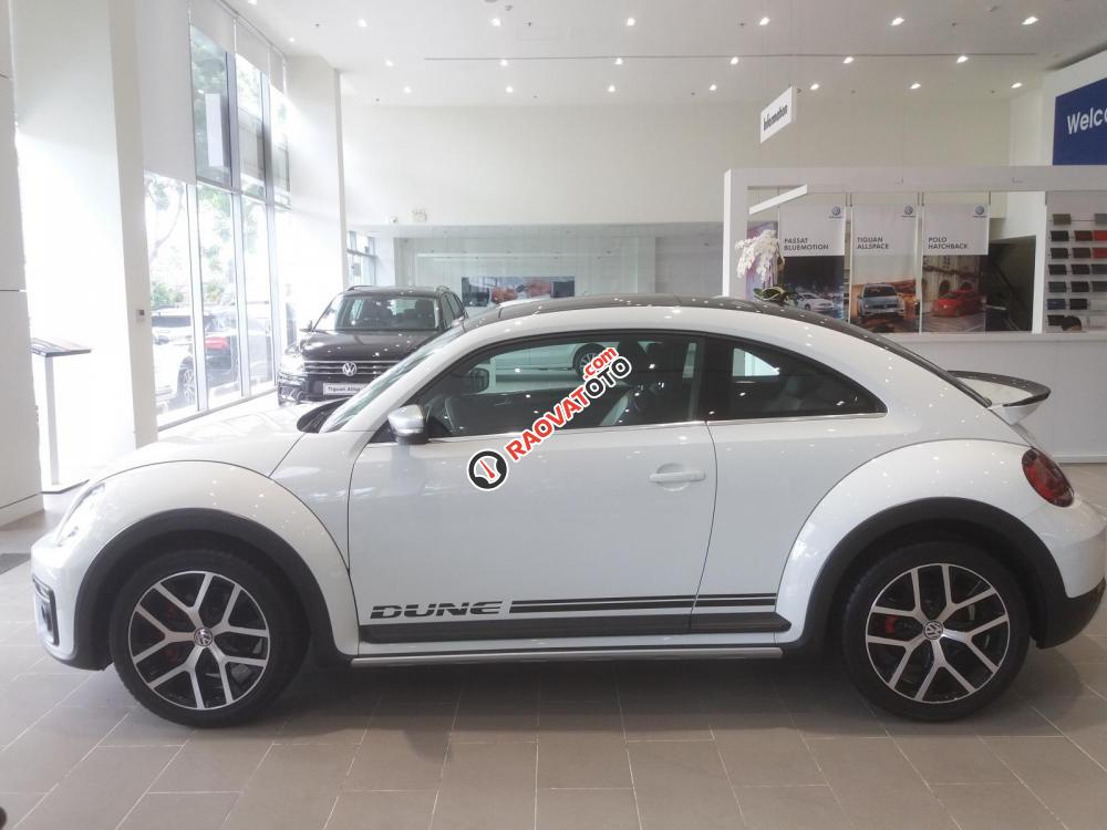 Xe hơi thể thao Volkswagen - Beetle-1