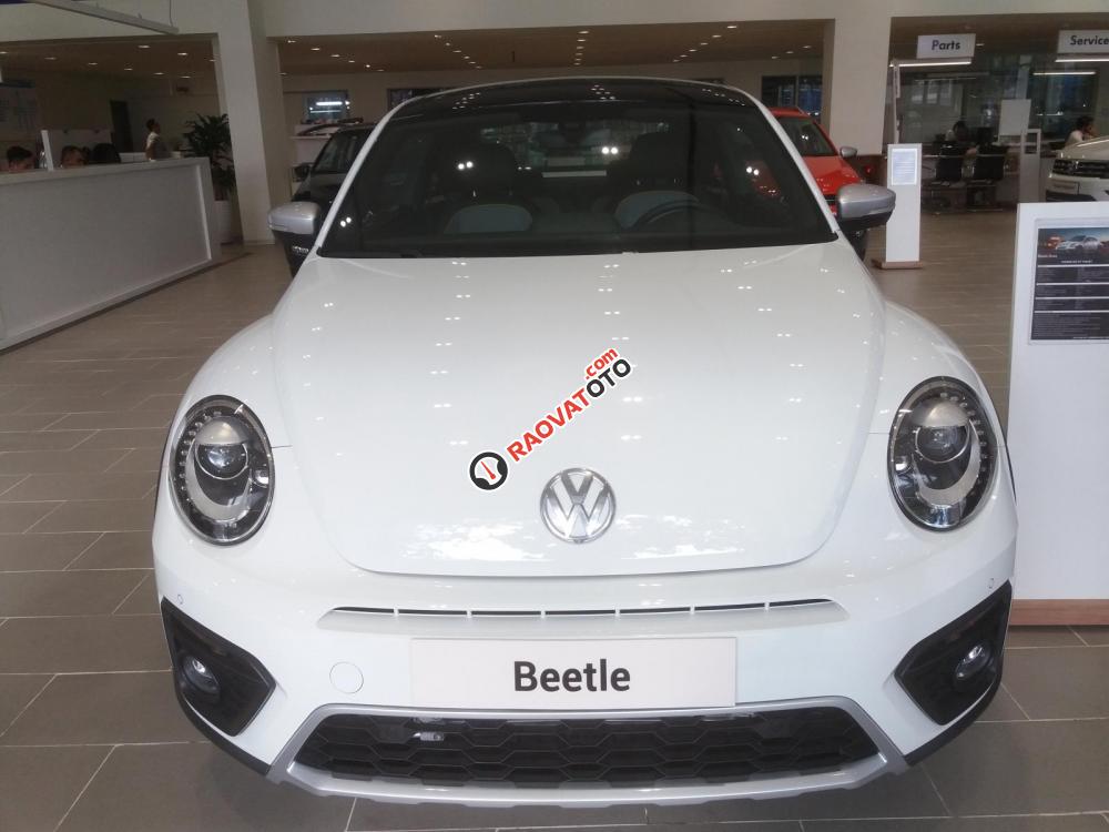 Xe hơi thể thao Volkswagen - Beetle-0