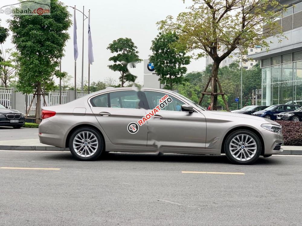 Cần bán xe BMW 5 Series 530i Luxury Line đời 2019, xe nhập-3