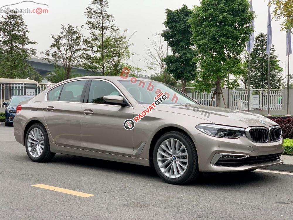 Cần bán xe BMW 5 Series 530i Luxury Line đời 2019, xe nhập-2