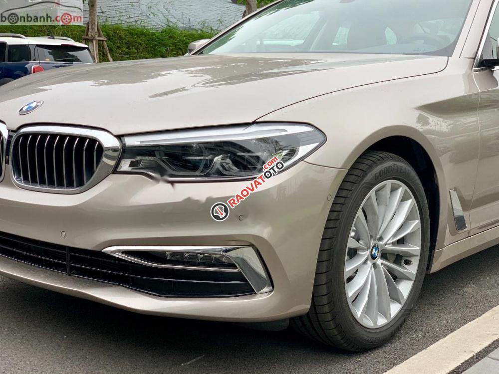 Cần bán xe BMW 5 Series 530i Luxury Line đời 2019, xe nhập-8