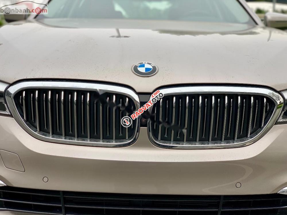Cần bán xe BMW 5 Series 530i Luxury Line đời 2019, xe nhập-7
