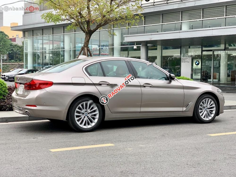 Cần bán xe BMW 5 Series 530i Luxury Line đời 2019, xe nhập-4