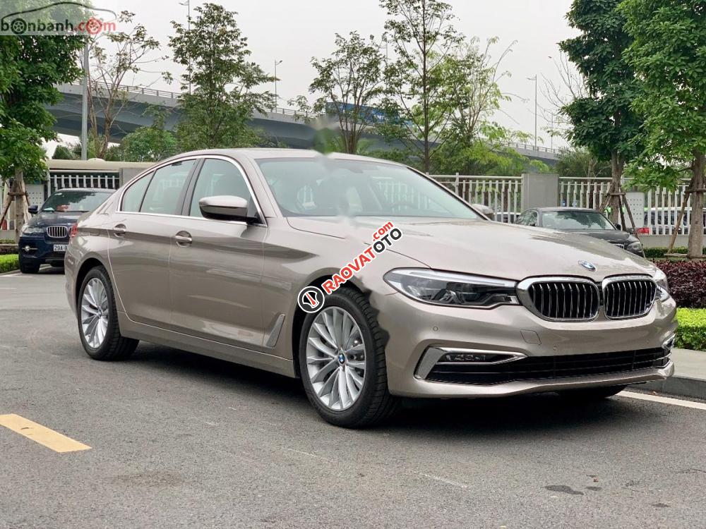 Cần bán xe BMW 5 Series 530i Luxury Line đời 2019, xe nhập-1