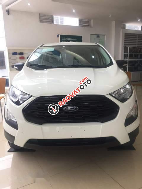 Cần bán Ford EcoSport sản xuất 2018, màu trắng-4