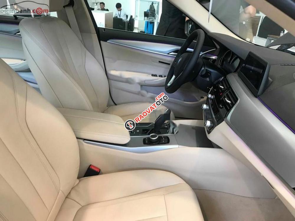 Bán xe BMW 5 Series 530i Luxury Line đời 2018, màu trắng, xe nhập-0