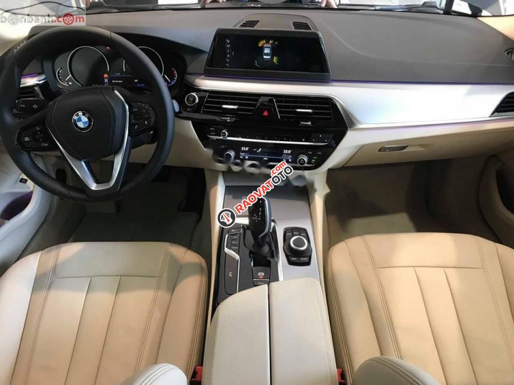 Bán xe BMW 5 Series 530i Luxury Line đời 2018, màu trắng, xe nhập-7