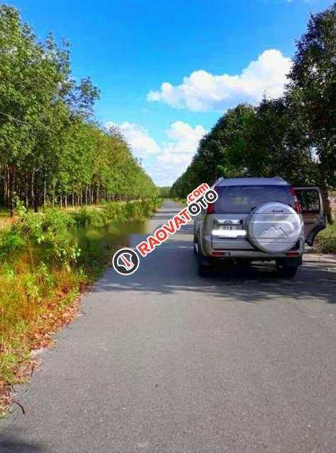 Bán Ford Everest AT năm 2010, màu bạc, số tự động-1