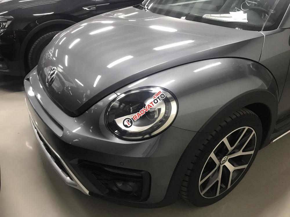 Bán Volkswagen New Beetle cao cấp đời 2019, màu xám (ghi), xe nhập-6