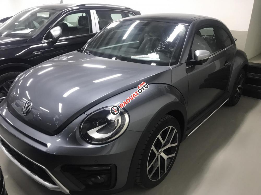 Bán Volkswagen New Beetle cao cấp đời 2019, màu xám (ghi), xe nhập-0