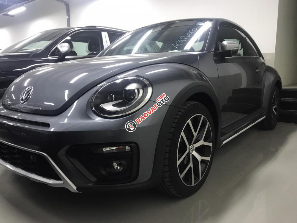 Bán Volkswagen New Beetle cao cấp đời 2019, màu xám (ghi), xe nhập-1