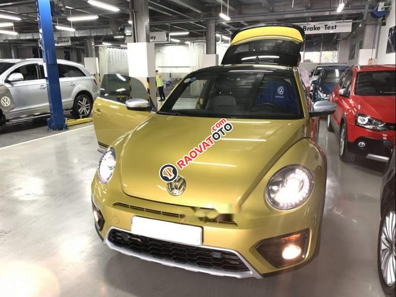 Bán xe Volkswagen Beetle Dune năm sản xuất 2018, nhập khẩu-4