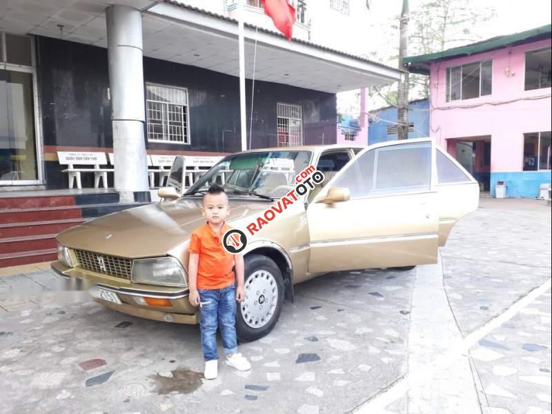 Cần bán gấp Peugeot 505 sản xuất 1990, nhập khẩu nguyên chiếc xe gia đình, 40 triệu-0