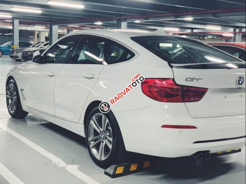 Cần bán BMW 320i GT màu trắng 2019, mới 100%-3