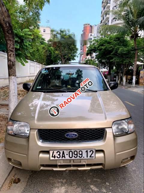 Cần bán lại xe Ford Escape 3.0 V6 năm sản xuất 2002, màu vàng-3