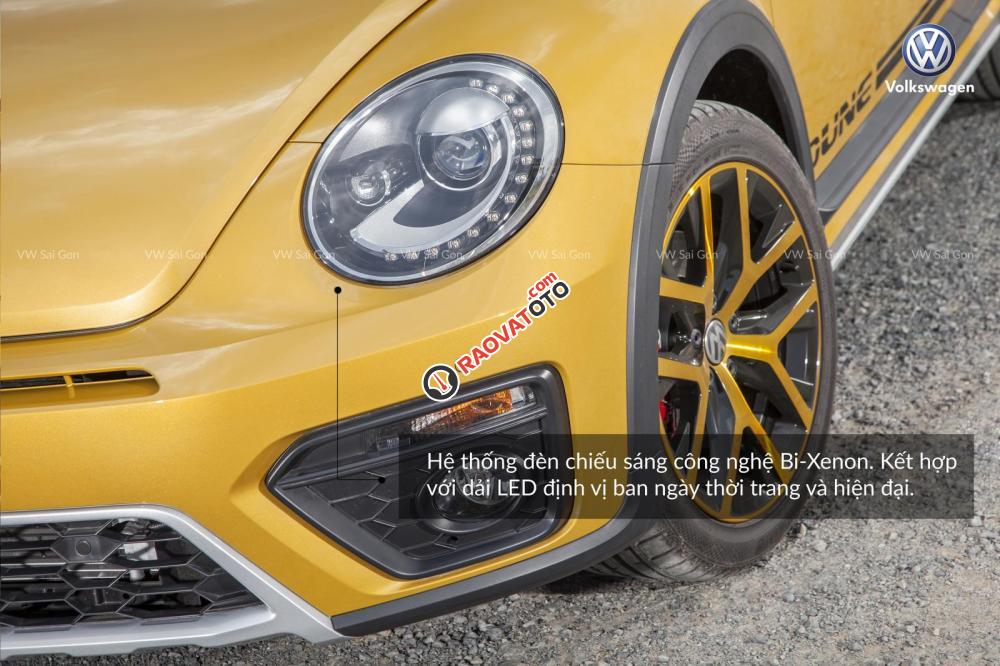 Bán xe con bọ Đức 2019, siêu phẩm huyền thoại cực hiếm, không đụng hàng, lạ độc cá tính, phiên bản giới hạn cao cấp-2