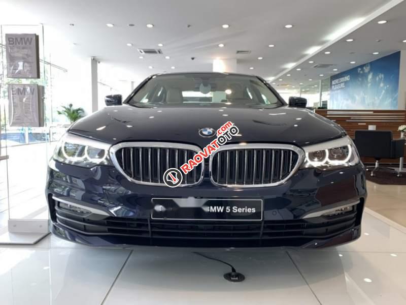 Cần bán xe BMW 5 Series 520i đời 2018, nhập khẩu-0