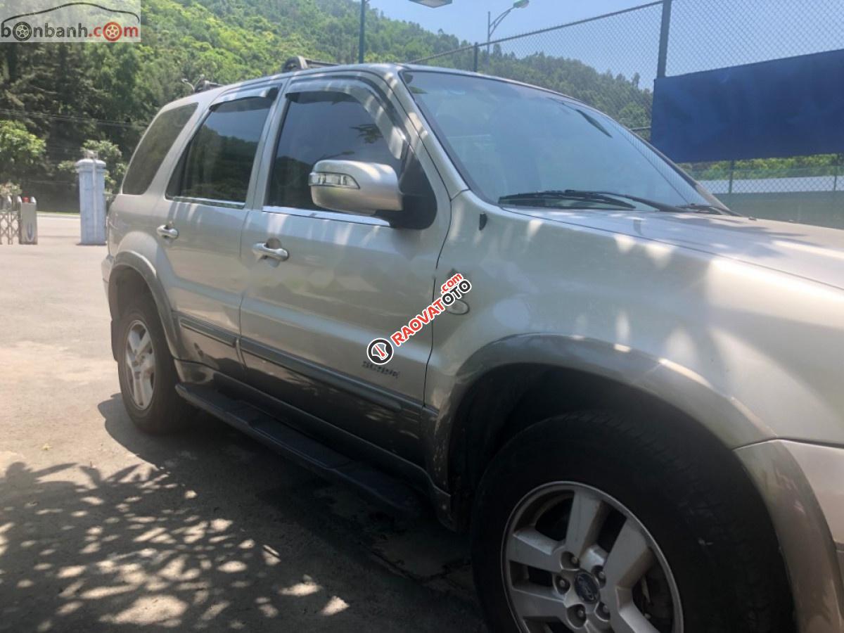 Bán Ford Escape XLT năm sản xuất 2008, màu bạc, giá chỉ 320 triệu-1