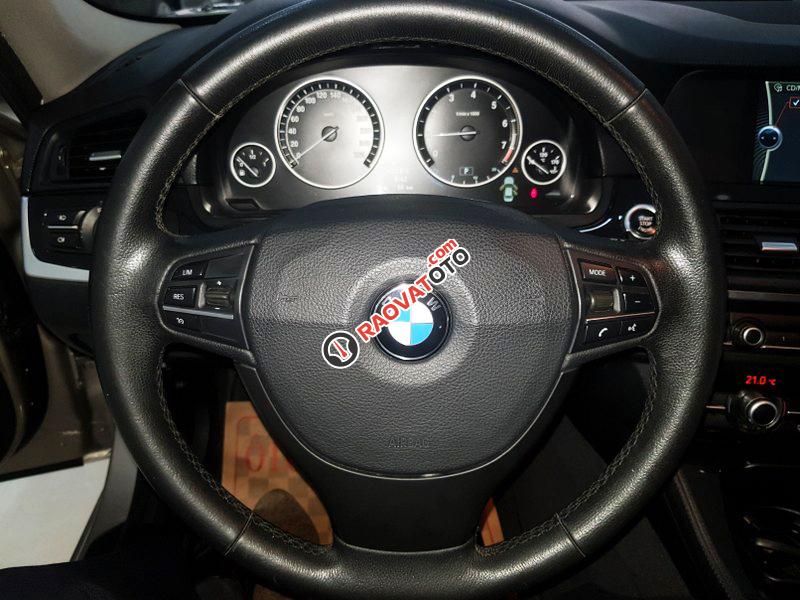 Bán BMW 5 Series 520i SX 2012-5