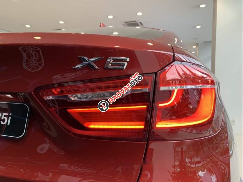 Cần bán BMW X6 đời 2019, màu đỏ, nhập khẩu-3