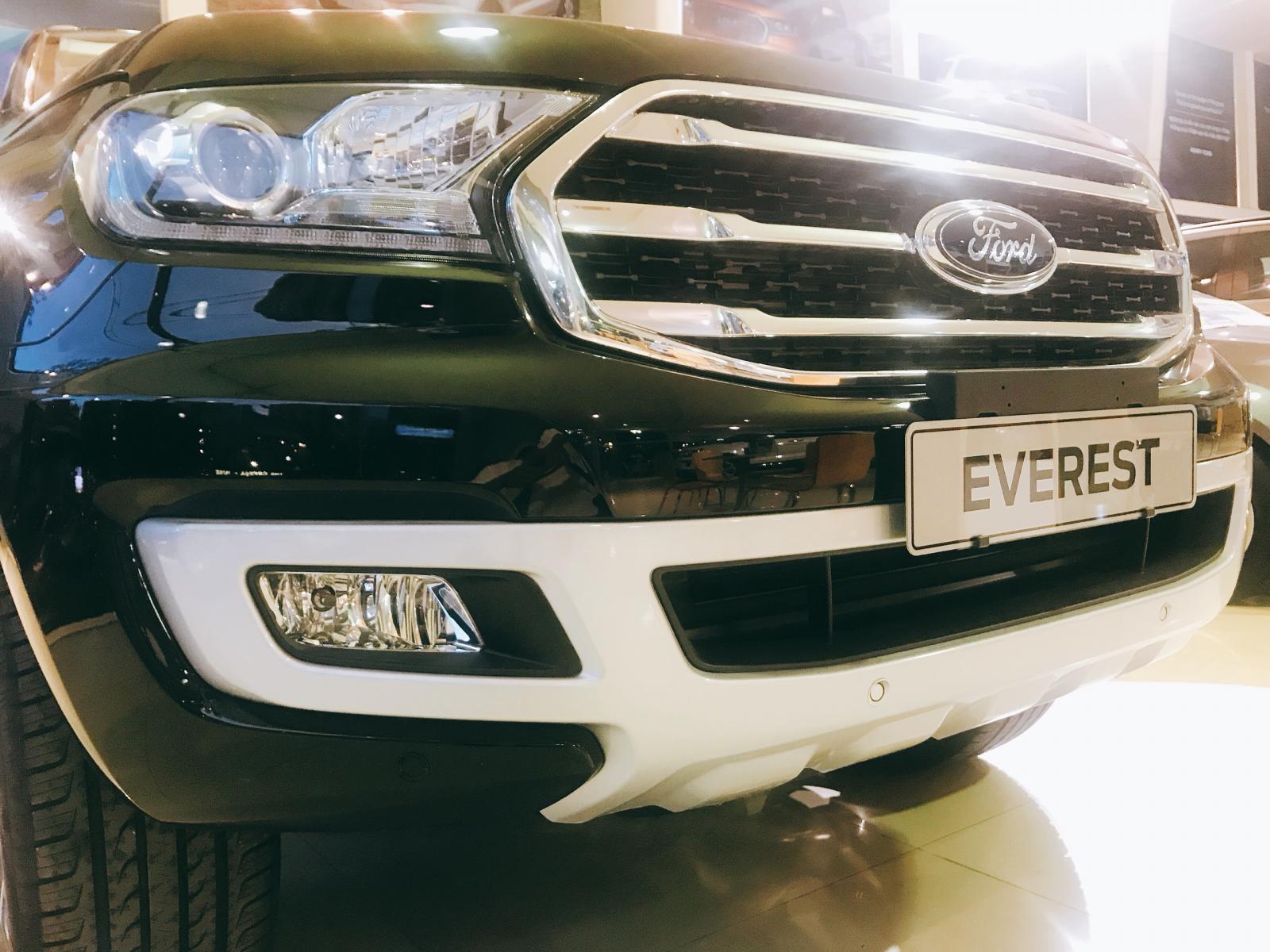 Bán Ford Everest 2.0 Si-turbo, 4x2 AT 10 cấp-5