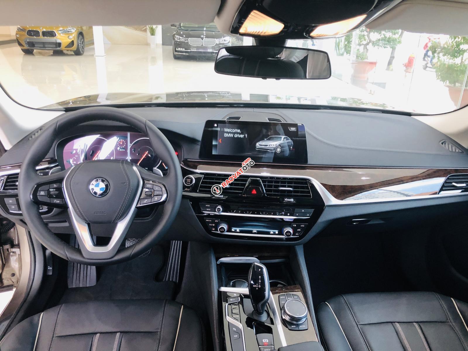 BMW 5 Series 530i - Luxury, nhập khẩu nguyên chiếc từ Đức, xe chuẩn từ Châu Âu - giảm giá mạnh-3
