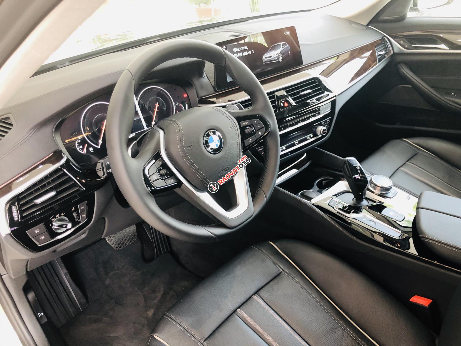 BMW 5 Series 530i - Luxury, nhập khẩu nguyên chiếc từ Đức, xe chuẩn từ Châu Âu - giảm giá mạnh-4