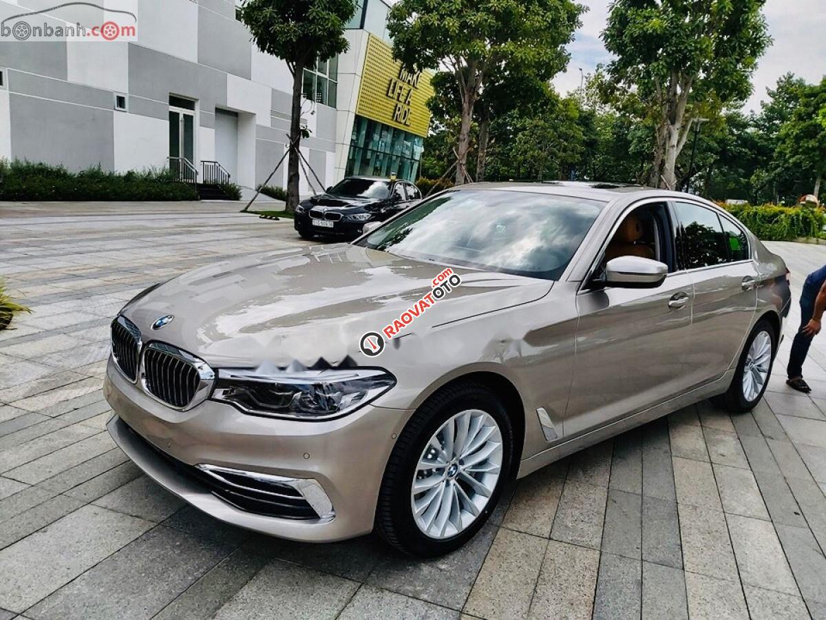 Cần bán xe BMW 5 Series 530i đời 2018, màu nâu, nhập khẩu-1