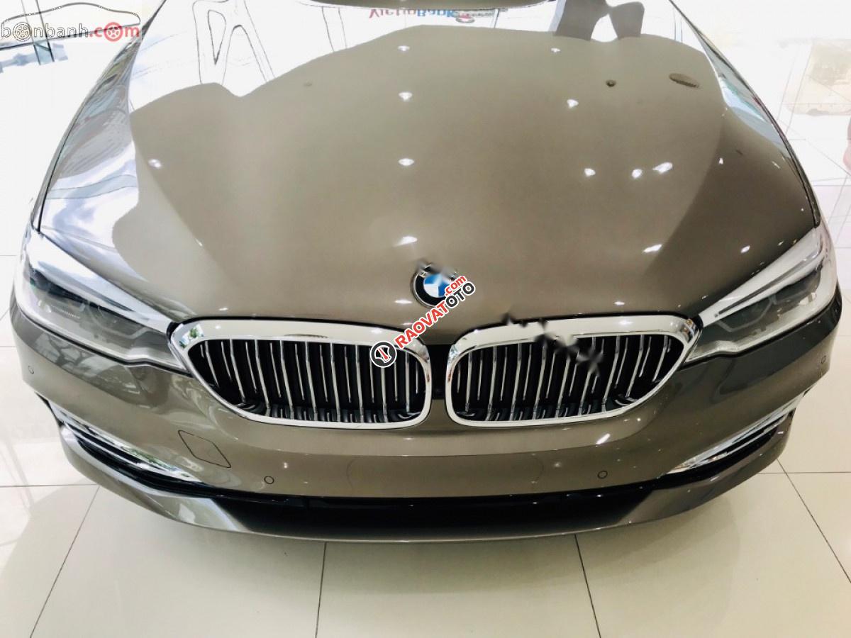 Cần bán xe BMW 5 Series 530i đời 2018, màu nâu, nhập khẩu-3